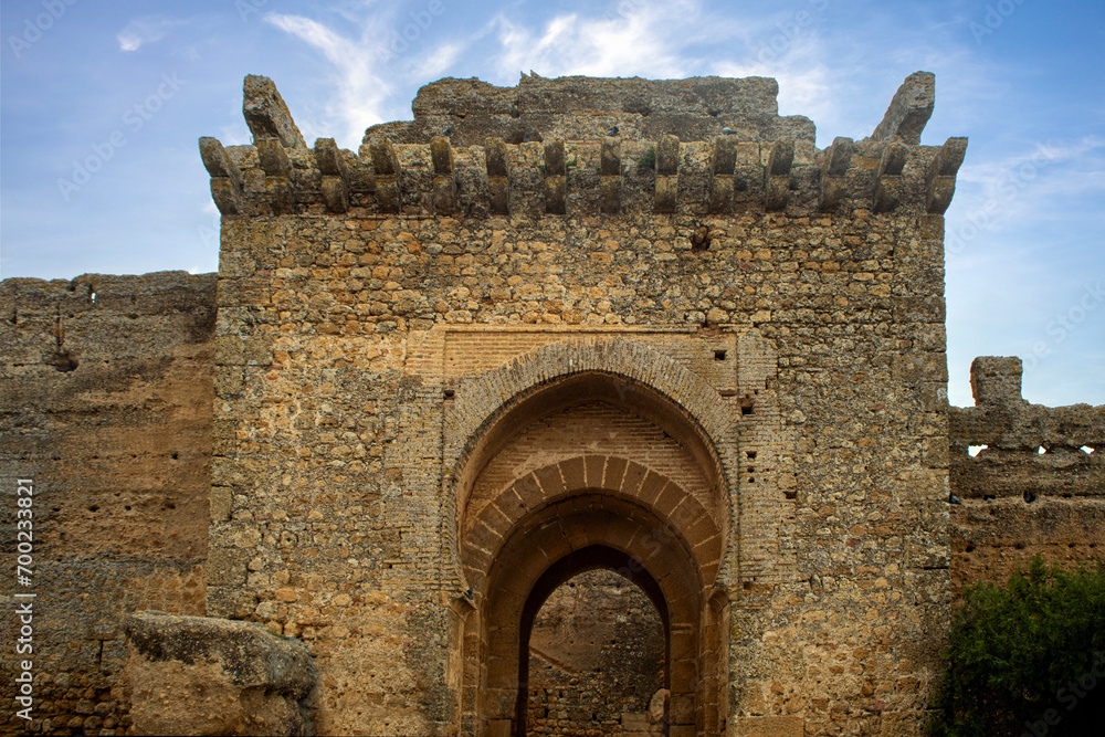 Entrance door of the Alcázar de Arriba or King Don Pedro in Carmona, Seville, Andalusia, Spain