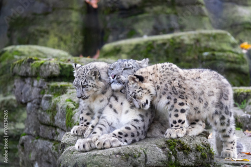 cuddleing with mom