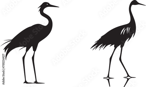 Vector silhouette of a black ostrich