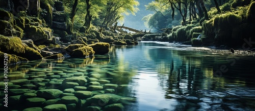 Spring landscape of green forest with pure water lake