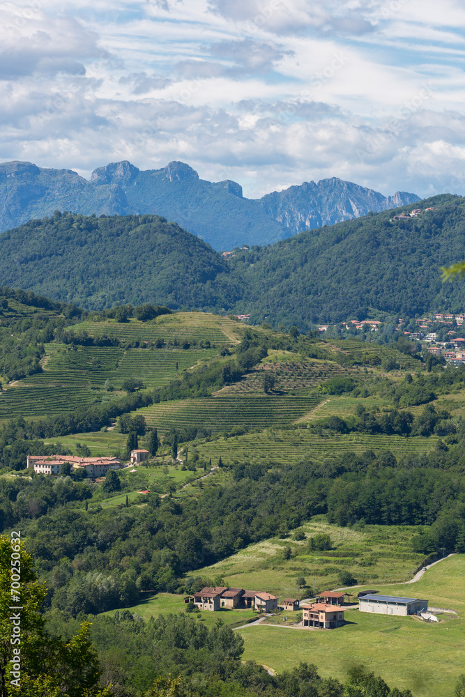 Landscape on vineyards in Val Curone - Montevecchia (Italy)