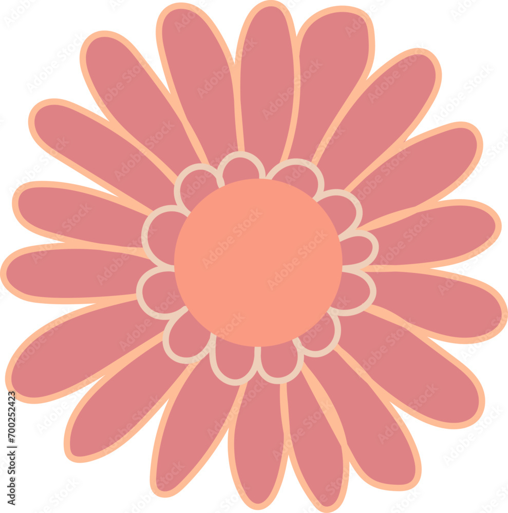Pink flower with petals and a round middle. Flower isolated on white.