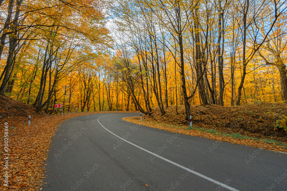 Road in autumn forest in mountains. Armenia Road in autumn forest in mountains. Armenia