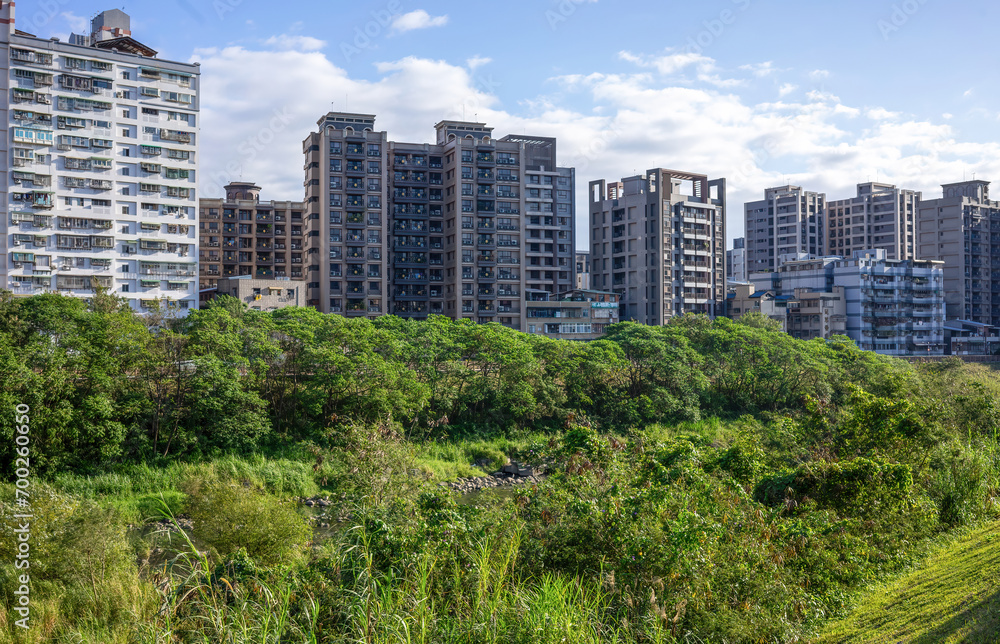 The lush foreground of wild greenery stands in stark contrast to the backdrop of dense urban residential buildings under a clear blue sky