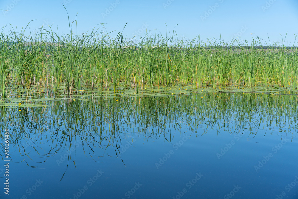 Obraz premium The Great Russian Volga River and its banks.