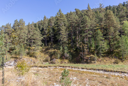 autumn day in a clearing with dried vegetation, sunny weather, panorama of the area