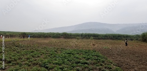 person walking in the field