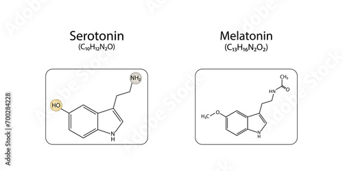 Serotonin and Melatonin structural chemical formula. Isolated on white background. Vector illustration.