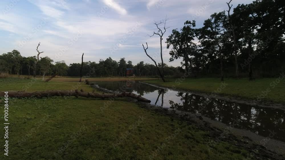 Time lapse of birds animals in jungles on sunset with forest background in Nepal Chitwan region. First national. Buffer zone Time lapse of birds animals in jungles on sunset with forest background in Nepal Chitwan region. First national. Buffer zone