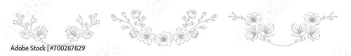 Set of wreaths with blossom apricot flowers, buds, and branches. Frame with spring flowers cherry or peach tree, vector illustration. Line art style