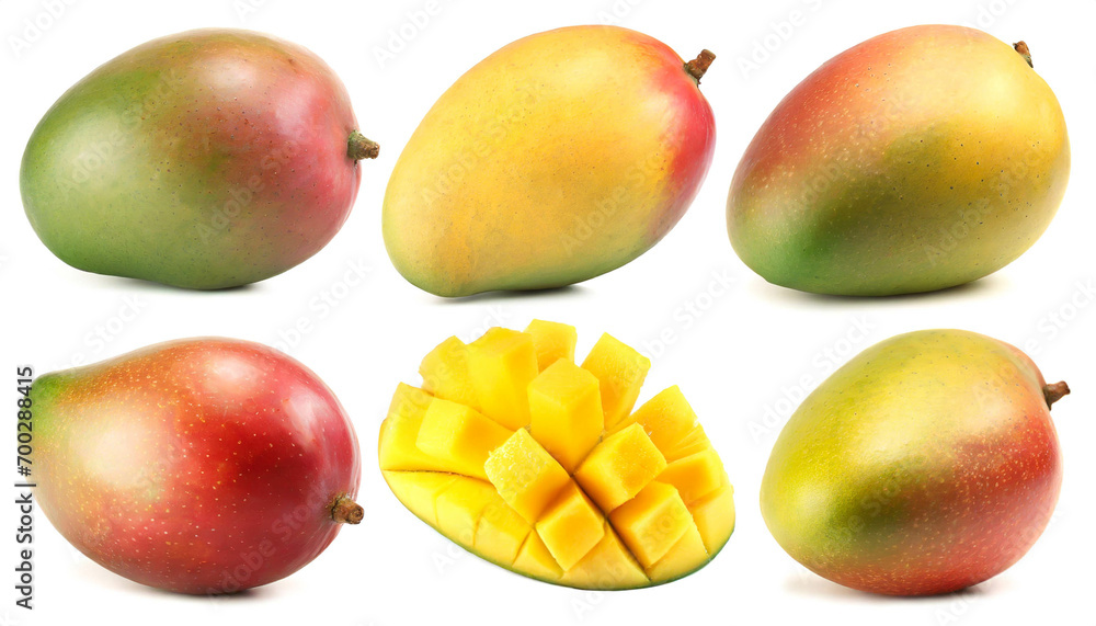 Mango collection isoliert auf weißen Hintergrund, Freisteller Mango collection isoliert auf weißen Hintergrund, Freisteller