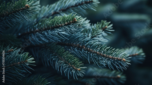 Close-Up Pine Tree Twig in Light Navy and Gray