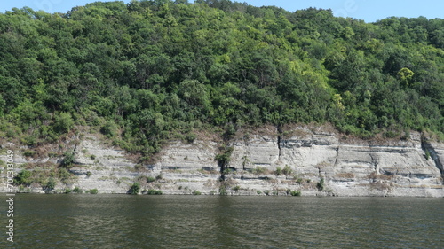 A dense forest on a rocky river bank.