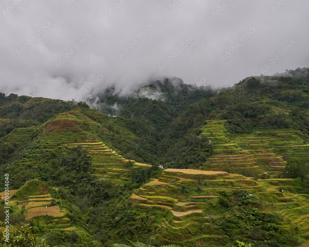 Terrazas de arroz de Banaue, Filipinas