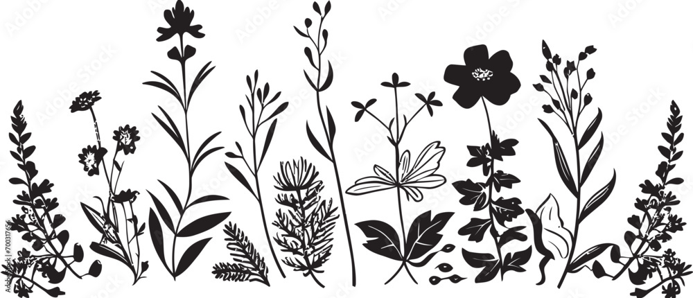 Fototapeta premium Midnight Inked Bloomscape Black Botanical Border Elegant Petal Framework Floral Vector Icon Design