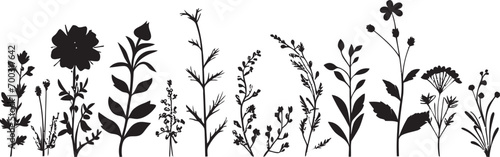 Ink Dipped Garden Borderline Botanical Vector Emblem Midnight Inked Petal Framework Black Floral Border