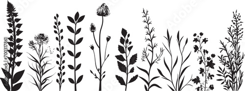 Enigmatic Floral Sketch Black Border Design Midnight Garden Edge Botanical Vector Emblem