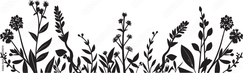 Silhouette Garden Botanical Border Vector Icon Floral Noir Frame Black Vector Logo Icon Design