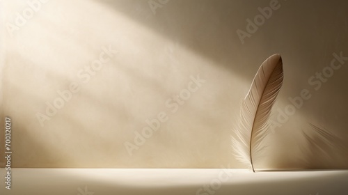  a feather quill sitting on top of a table next to a shadow of a light shining on the wall. photo