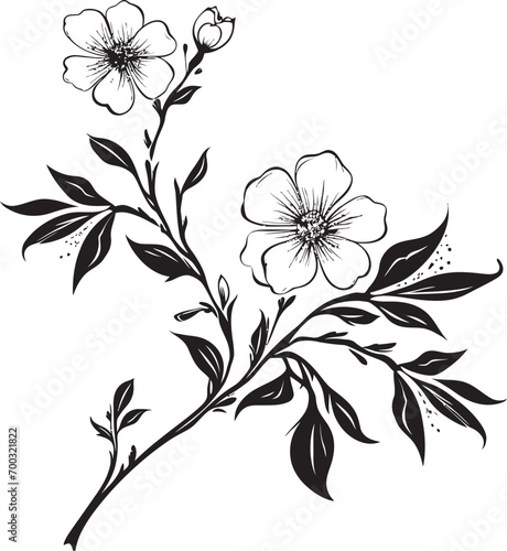 Bouquet Delight Black Vine Logo Vineyard Essence Monochrome Floral Icon
