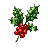 holly berry red Christmas decor for greeting card