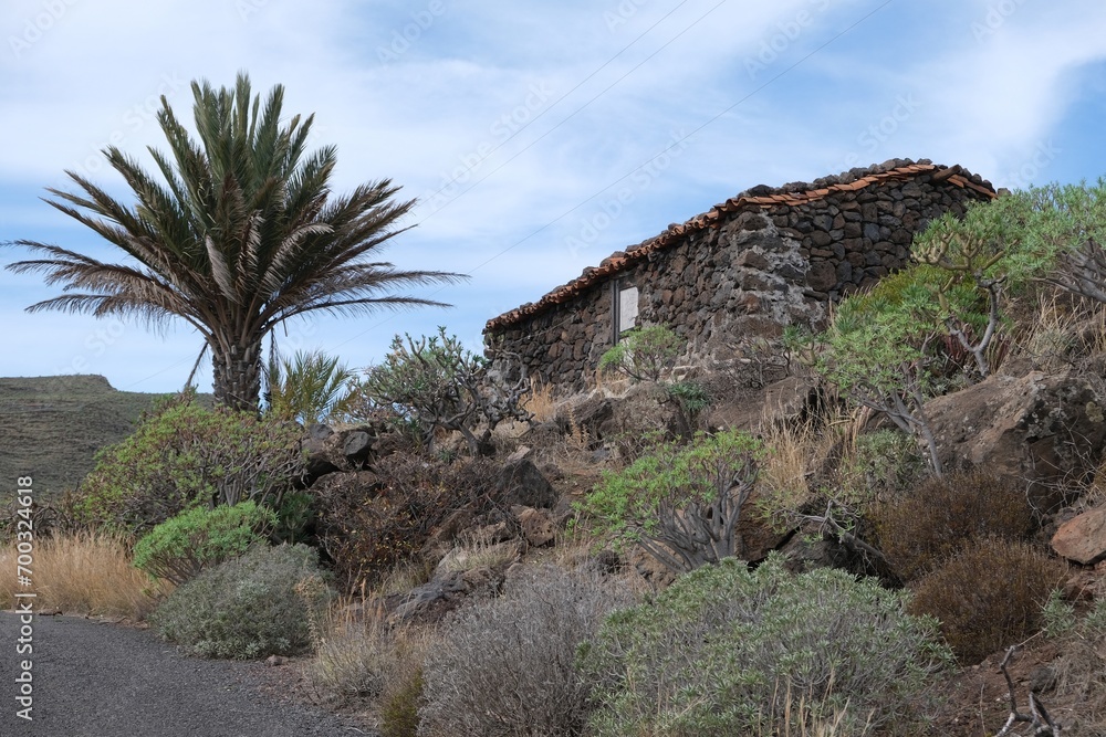 Old stone building and palm on mountain trail from San Sebastian de la Gomera to El Cedro Forest in Garajonay National Park. La Gomera, Canary Islands, Spain