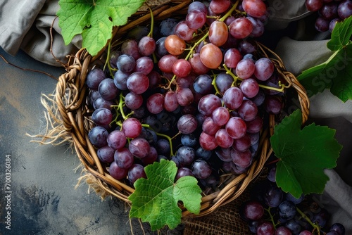 Fresh grapes fruits with leaves in a basket on a table - harvest of organic freshly picked grapes