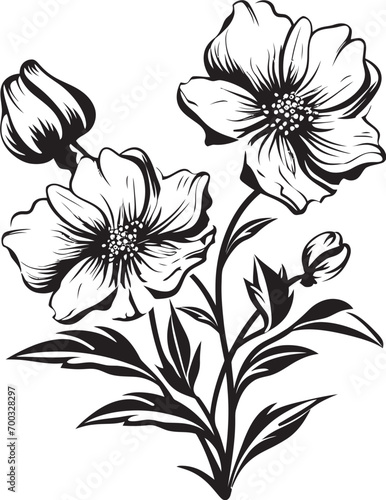 Chilled Petal Sketch Stylish Vector Mark Winter Sketch Blossom Monochrome Iconic Detail