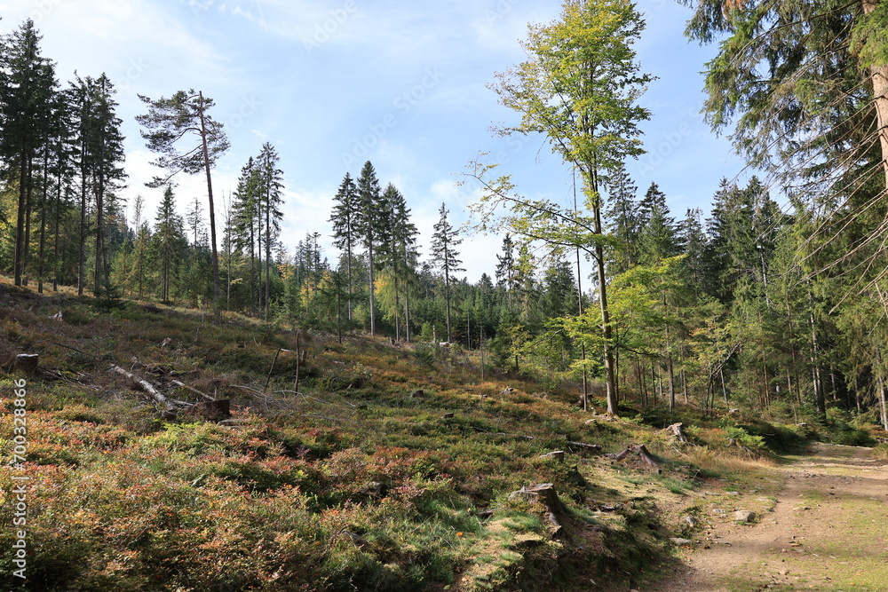 Idyllische Herbstlandschaft im Bayerischen Wald Idyllische Herbstlandschaft im Bayerischen Wald