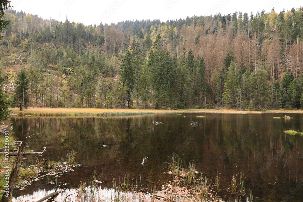 Blick auf den kleinen Arbersee im Bayerischen Wald	