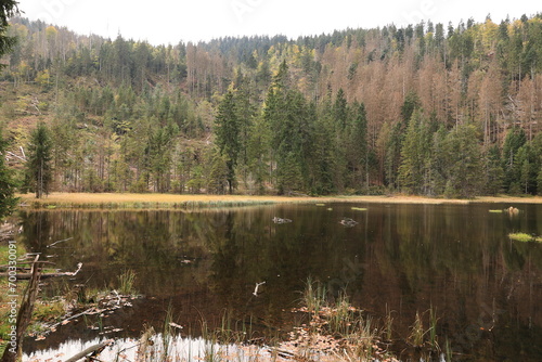 Blick auf den kleinen Arbersee im Bayerischen Wald 