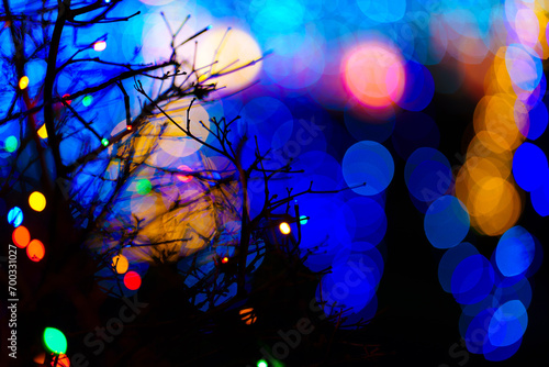The picture of a tree with no leaves with magical colourful christmas lights on it and Large blue bokeh balls on the background. Christmas background. Copy space.