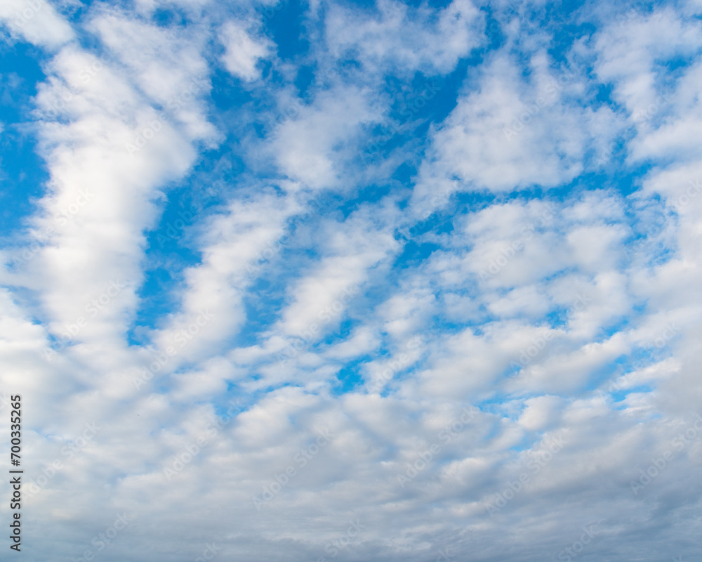 Obraz premium blue sky with clouds lined up in rows