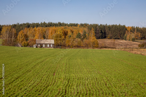 Herbstspaziergang in Podlachien, Ostpolen photo