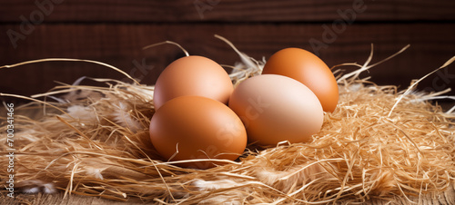 Chicken eggs on the wood plank near the sraw nest and some chicken fearther placce for title photo