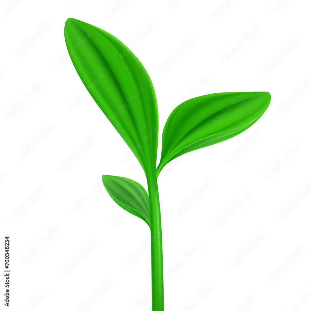 Illustration of leaves icon on white backdrop