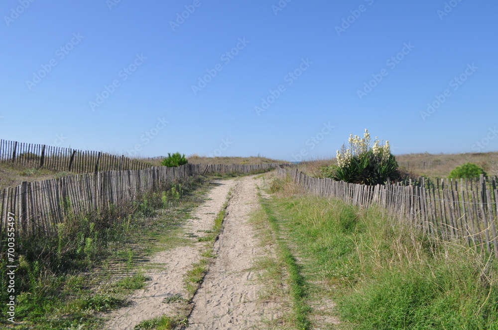 Chemin à la mer