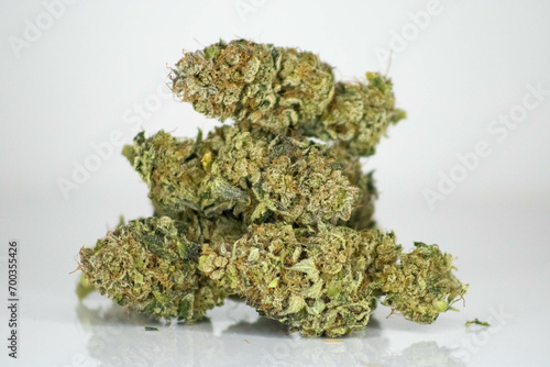 dried hemp cannabis flower buds