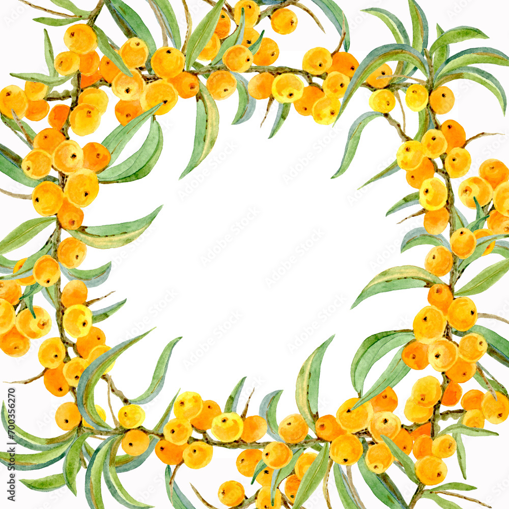 Fototapeta premium Decorative frame background made of succulent branches of sea buckthorn, bright yellow.