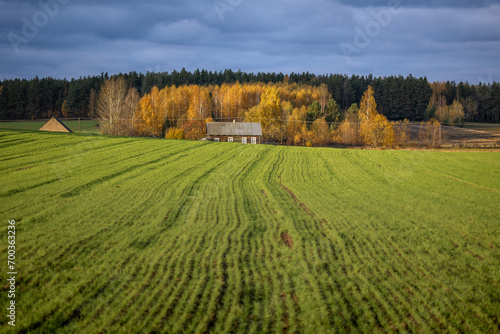 Herbstspaziergang in Podlachien, Ostpolen photo