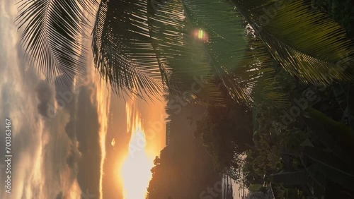Picturesque sunset through coconut palm tree, The coast of Thailand on a sunset photo