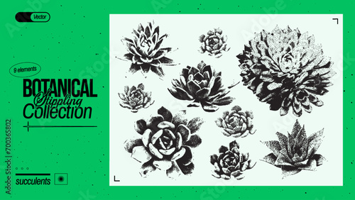 Set of different succulents. Vintage plant elements with a grainy photocopy effect for anti-design. Grunge dotted elements with stippling effect. Vector illustration.
