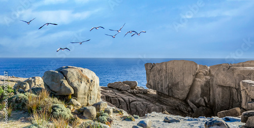Obraz na płótnie Coastal landscape within the amazing Torndirrup National Park close to Albany, Western Australia w salonie