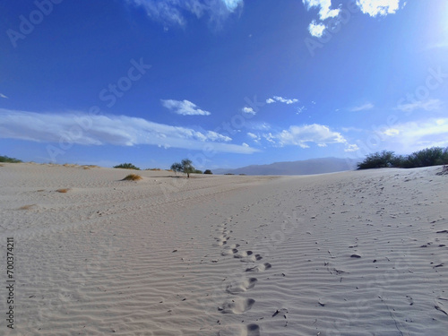 Footprints in the sand in the dunes of Los Medanos near the Argentine town of Cafayate photo