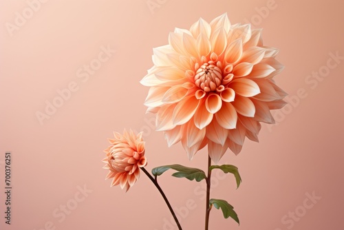 Flowers in trendy colors. Background with selective focus and copy space