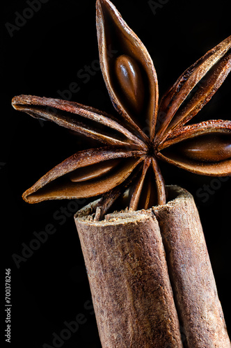 A star anise flower in a cinnamon tube
