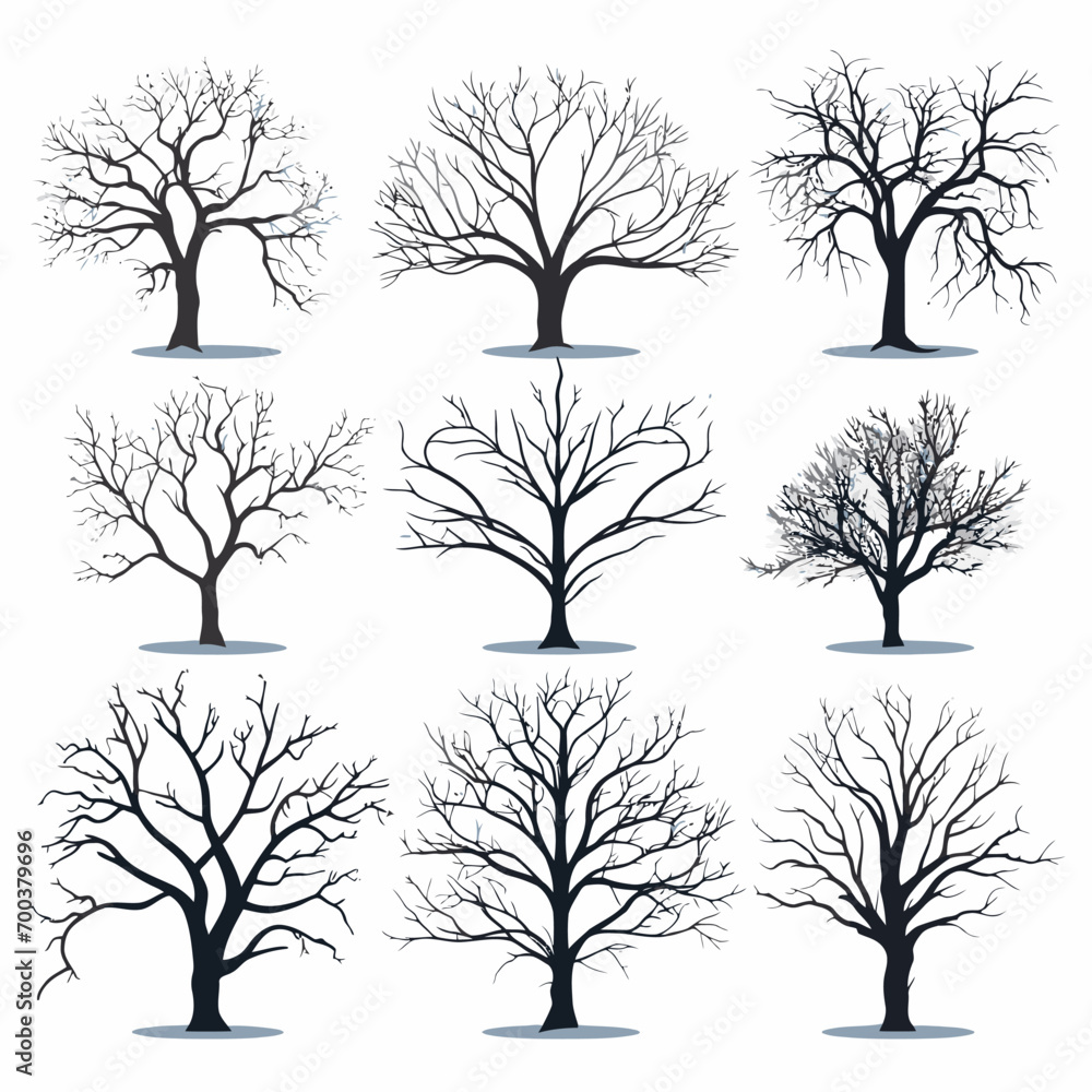 Obraz premium Winter bare trees collections 