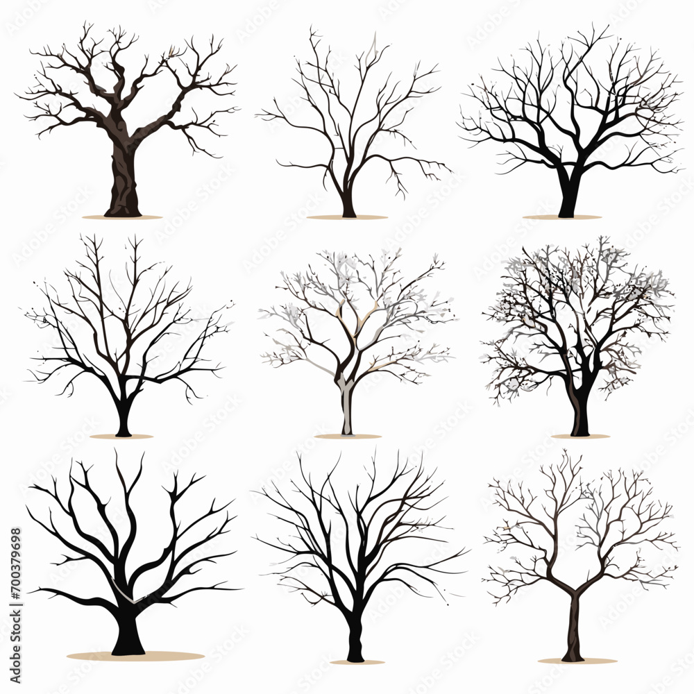 Obraz premium Winter bare trees collections 