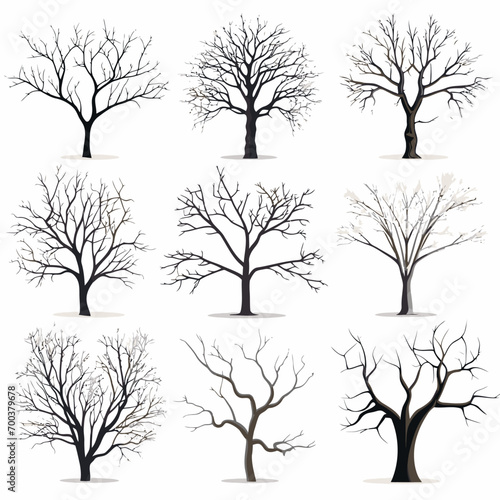 Winter bare trees collections 