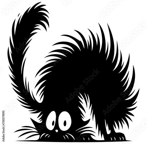 Scared black cat